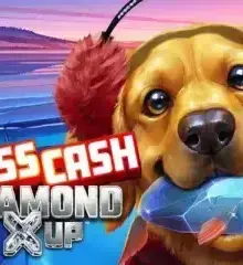 Bass Cash Diamond X Up